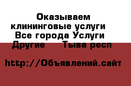 Оказываем клининговые услуги! - Все города Услуги » Другие   . Тыва респ.